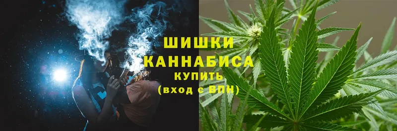 купить наркотик  Ижевск  Бошки марихуана Amnesia 